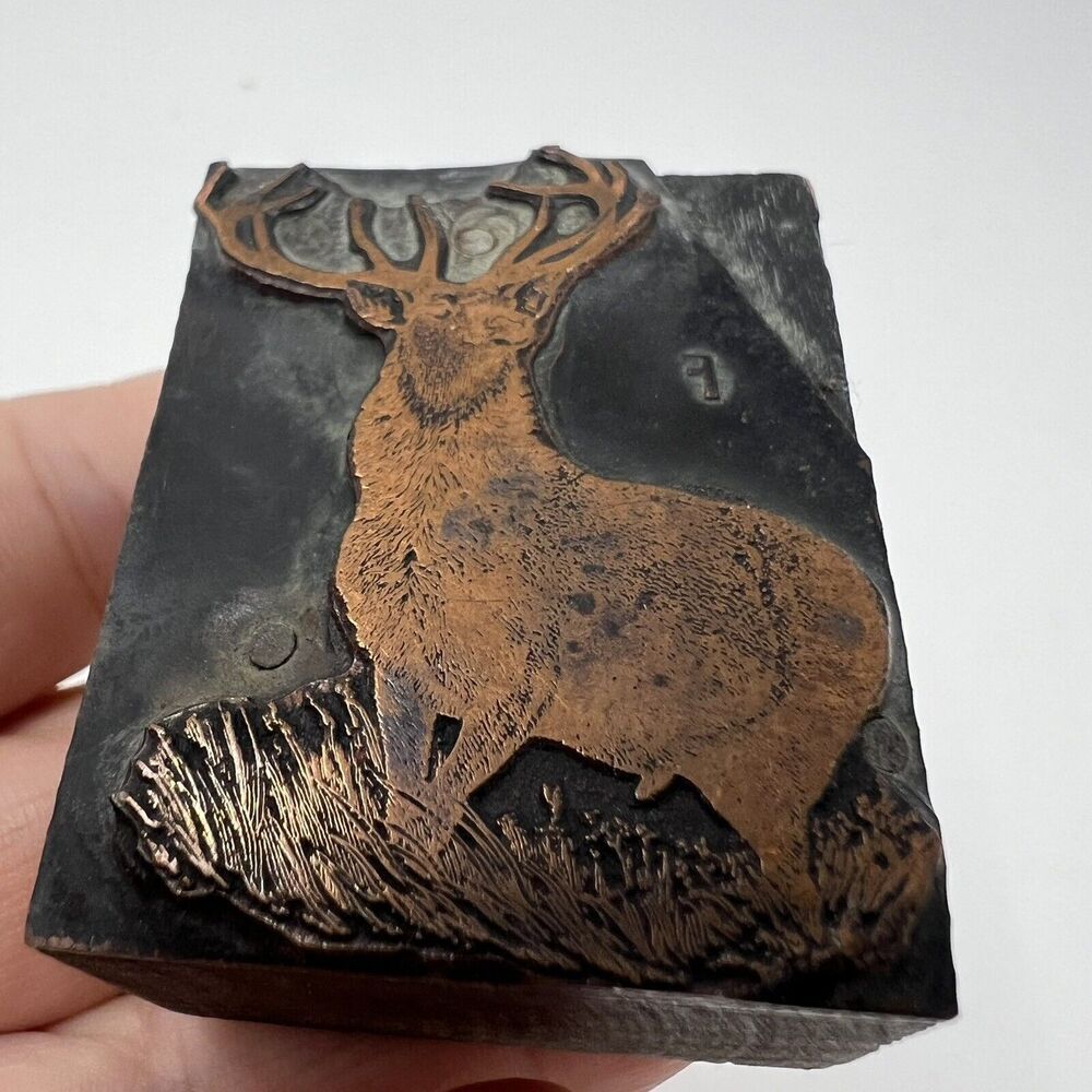 Vintage Wood Metal Printing Press Block Stamp Ink Plate DEER STAG Hunting 12 Pt